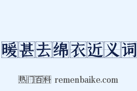 暖甚去绵衣近义词是什么意思的图片